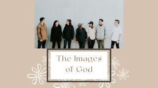 The Images of God Ruth 4:18-22 Contemporary English Version Interconfessional Edition