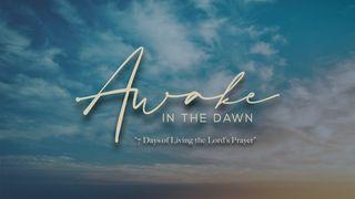 Awake in the Dawn Romans 11:33-36 The Passion Translation