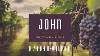 The Gospel of John John 4:44 New International Version