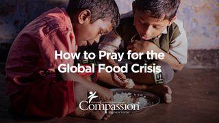 How to Pray for the Global Food Crisis 1 John 5:14 Good News Translation (US Version)