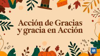 Acción De Gracias Y Gracia en Acción Romanos 12:2 Nueva Versión Internacional - Español