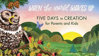 Five Days in Creation for Parents and Kids Psalmynas 29:4 A. Rubšio ir Č. Kavaliausko vertimas su Antrojo Kanono knygomis