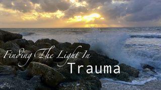 Finding the Light in Trauma Matthew 8:29 Young's Literal Translation 1898