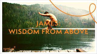James: Wisdom From Above St James 3:13-18 Douay-Rheims Challoner Revision 1752