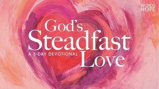God's Steadfast Love Lamentations 3:32 New International Version