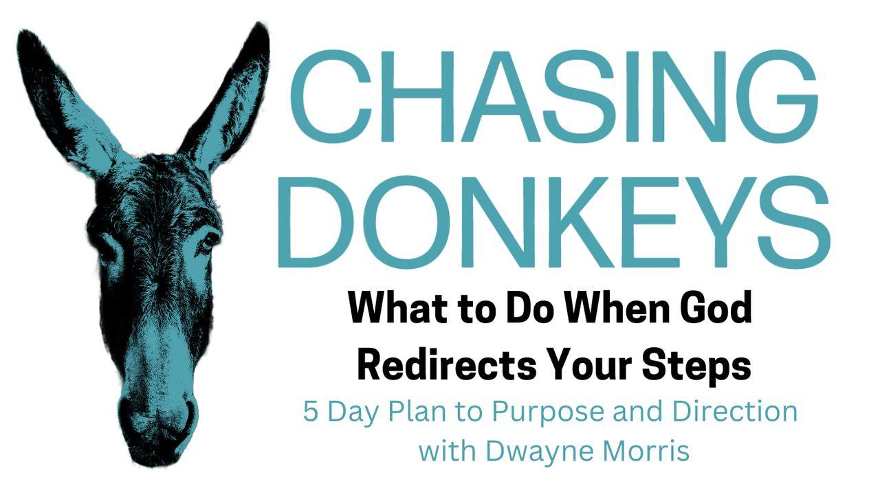Chasing Donkeys: What to Do When God Redirects Your Steps
