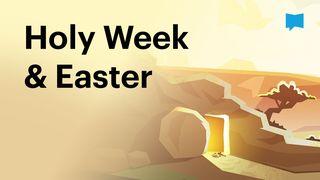 BibleProject | Holy Week & Easter Mark 14:10 New American Bible, revised edition