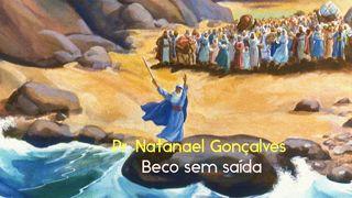 Beco sem saída. Êxodo 14:28 Nova Versão Internacional - Português
