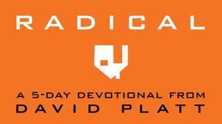 Radical: A 5-Day Devotional By David Platt Lukas 16:22 Hoffnung für alle