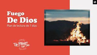 ¡Fuego De Dios! DEUTERONOMIO 4:24 La Palabra (versión hispanoamericana)