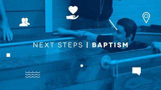 NEXT STEPS: Baptism Luke 3:1 Tree of Life Version
