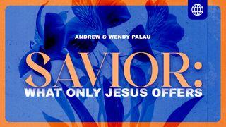 Savior: What Only Jesus Offers John 12:24-25 The Message