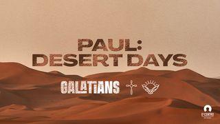Paul: Desert Days Galatians 1:24 World English Bible, American English Edition, without Strong's Numbers