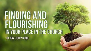 Finding and Flourishing in Your Place in the Church 使徒言行録 8:14, 17-19 Seisho Shinkyoudoyaku 聖書 新共同訳