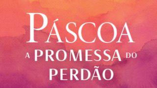 Páscoa — A promessa do perdão Mateus 26:28 Nova Versão Internacional - Português