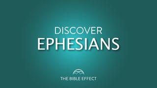 Ephesians Bible Study Ephesians 5:7 Amplified Bible, Classic Edition