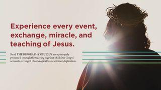 Jesus' Final Visit to Jerusalem Mark 15:16 New International Version