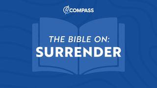 Financial Discipleship - the Bible on Surrender Matthew 7:15-20 The Message
