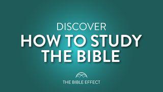 How to Study the Bible Inductively Philemon 1:6 New Living Translation