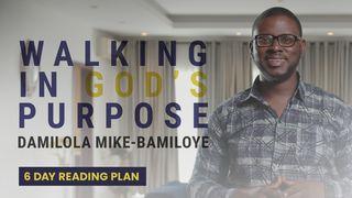 Walking in God's Purpose  The Books of the Bible NT