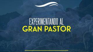 EXPERIMENTANDO AL GRAN PASTOR Salmo 23:1-6 Nueva Versión Internacional - Español