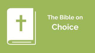 Financial Discipleship - the Bible on Choice Matthew 19:27-30 New Revised Standard Version