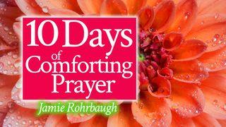 10 Days of Comforting Prayer Isaiah 32:15-20 The Message