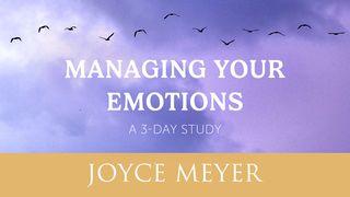 Managing Your Emotions Matthew 22:37-38 Contemporary English Version