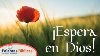 ¡Espera en Dios! 2 Corintios 5:3 Nueva Versión Internacional - Español