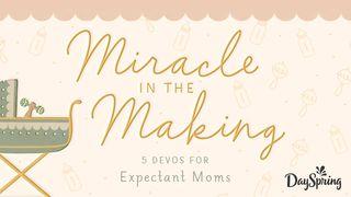 Miracle in the Making: 5 Devotions for Expectant Moms Psalm 94:19 King James Version