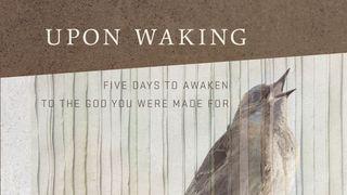Upon Waking Psalms 22:1-31 New Revised Standard Version