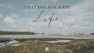 That You May Have Life John 6:28-29 New International Version (Anglicised)