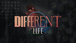 Different Life Matthew 7:13-14 The Message