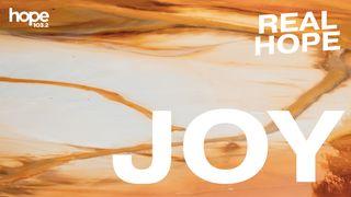Real Hope: JOY 傳道書 8:15 新標點和合本, 神版