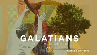 Galatians: A New Spiritual Family | Video Devotional Psalms 119:31 Contemporary English Version (Anglicised) 2012
