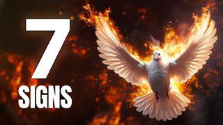 7 Biblical Signs Confirming the Presence of the Holy Spirit Within You Acts 2:4 King James Version, American Edition