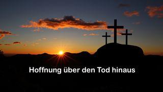 Hoffnung über den Tod hinaus Römer 5:12 Elberfelder Übersetzung (Version von bibelkommentare.de)