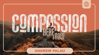 Compassion Here and Now Deuteronomium 32:11 Herziene Statenvertaling
