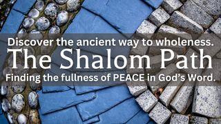 The Shalom Path Psalm 4:8 Amplified Bible, Classic Edition