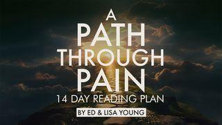 A Path Through Pain Exodus 15:26,NaN King James Version