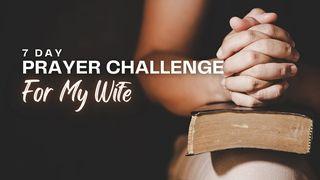 7 Day Prayer Challenge for My Wife Proverbs 13:10 English Standard Version 2016