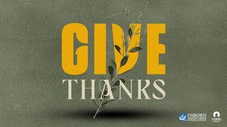 Give Thanks Luke 17:14-16 The Message