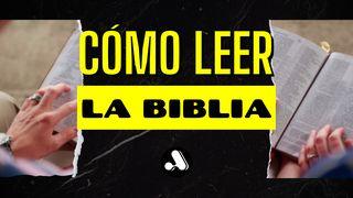 Cómo Leer La Biblia Jeremías 33:3 Nueva Versión Internacional - Español