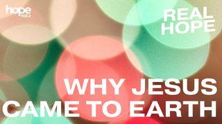 Real Hope: Why Jesus Came to Earth John 18:40 New Living Translation