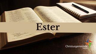 Ester Esther 2:21 Hoffnung für alle