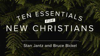 Ten Essentials for New Christians Luke 12:12 Darby's Translation 1890