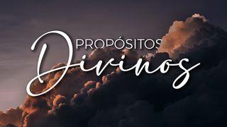 Propósitos Divinos Romanos 8:28-29 Nueva Versión Internacional - Español
