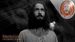 8 Days With Jesus: Who Is Jesus? Lukas 19:41-44 Darby Unrevidierte Elberfelder