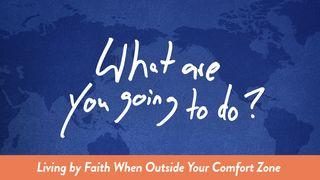 What Are You Going to Do? 2 Corinthians 8:20-22 The Message