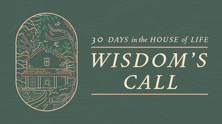Wisdom's Call: 30 Days in the House of Life Ecclesiastes 1:15-18 English Standard Version 2016